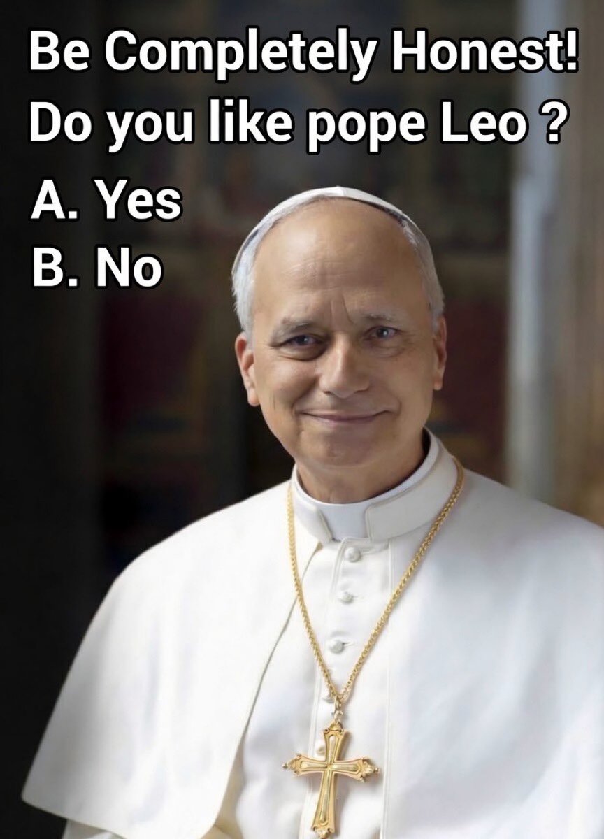 Olivia 🇺🇸 tweet media