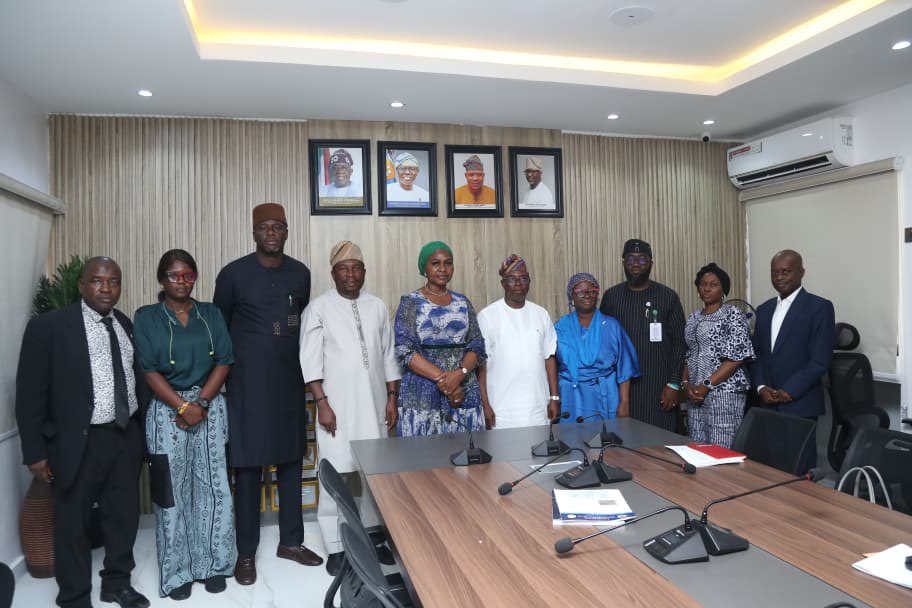 So the Lagos State Ministry of Local Government, Chieftaincy Affairs and Rural Development held a meeting yesterday and launched the Local Government Development Plan (LGDP), which is basically a structured roadmap for each local government to:

✅ Identify their most important