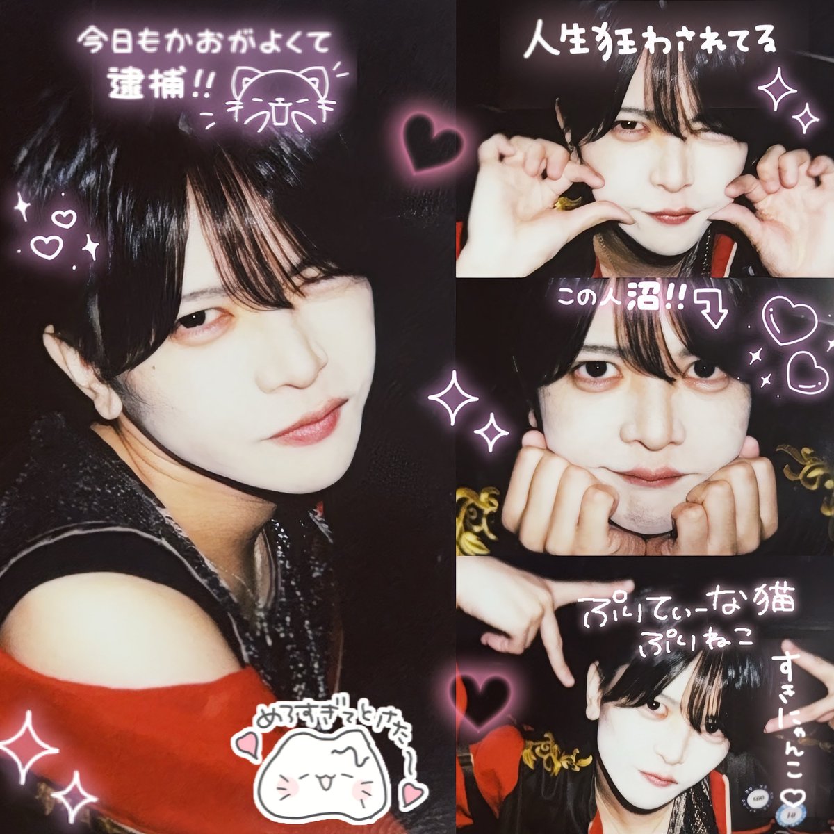 ここちゃん。 tweet media