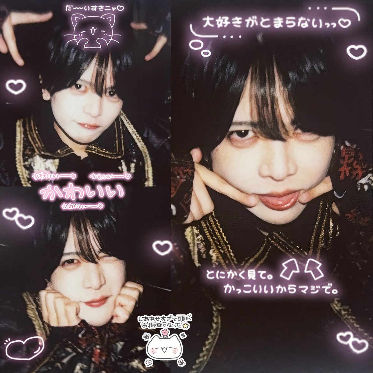 ここちゃん。 tweet media