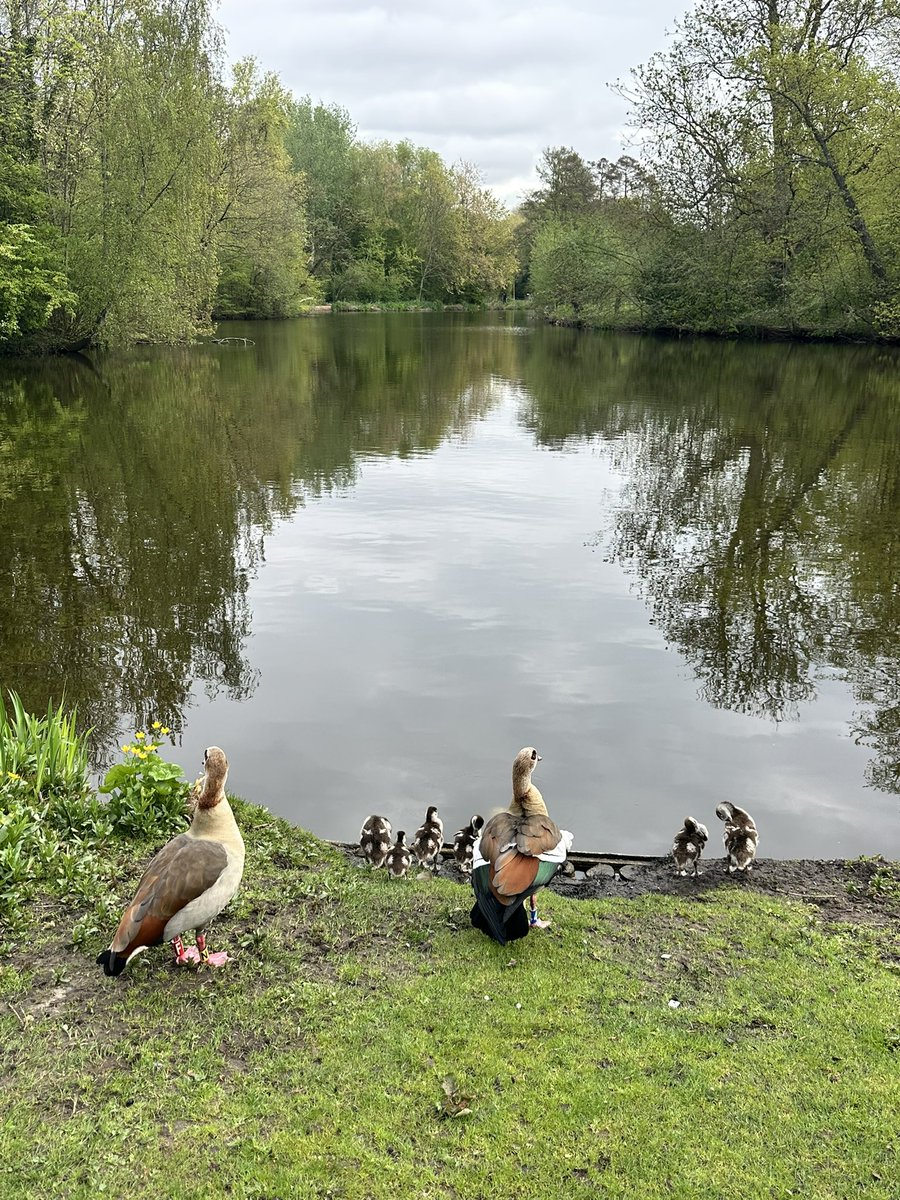 mstfdlk's tweet photo. #vondelpark https://t.co/6UCdYQZP6x