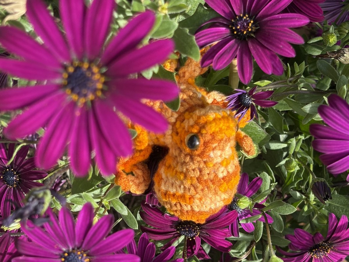 🐱🔶たこやま🐙 tweet media