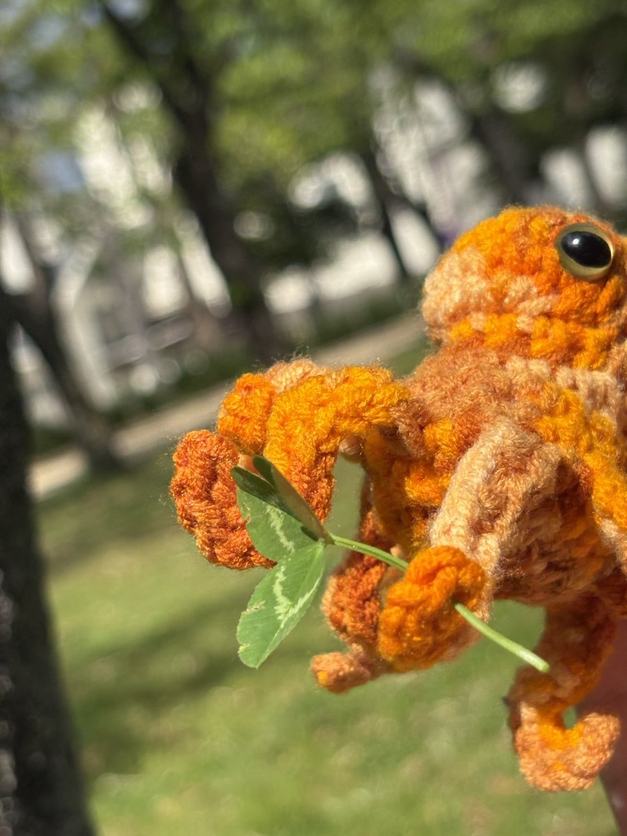 🐱🔶たこやま🐙 tweet media