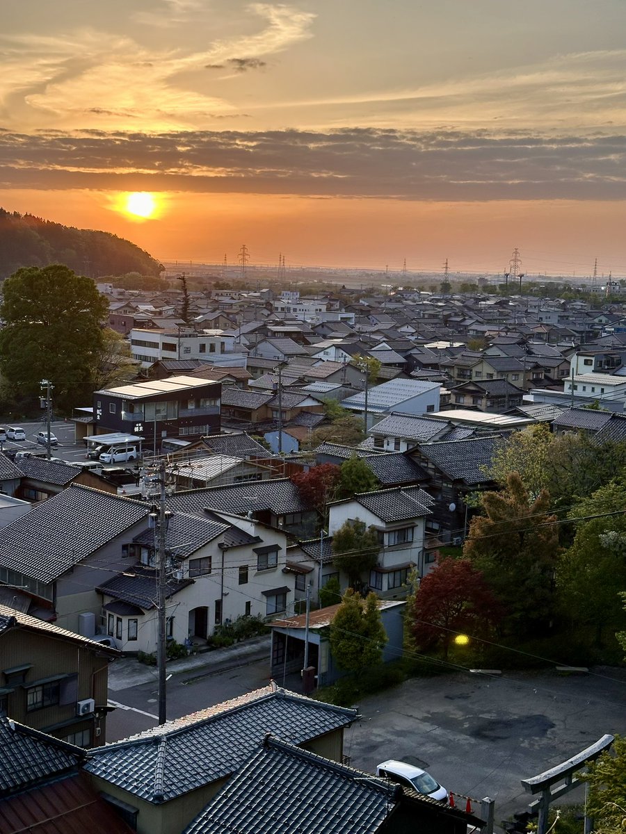 井上ヤスオバーガー tweet media