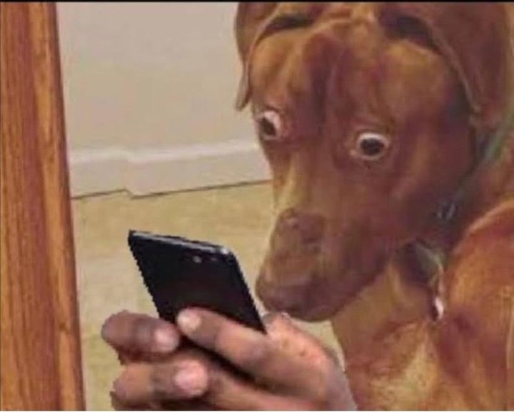 OTSPECIAL tweet media