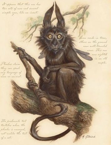 Folklore of Scotland tweet media