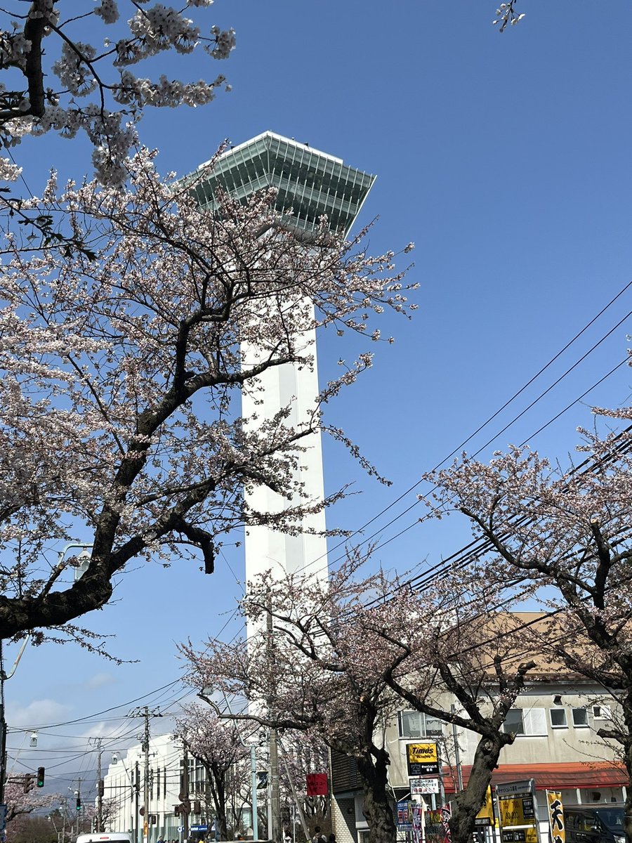 さく tweet media