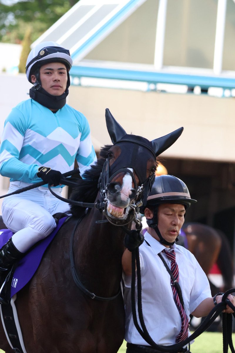 まきさ tweet media