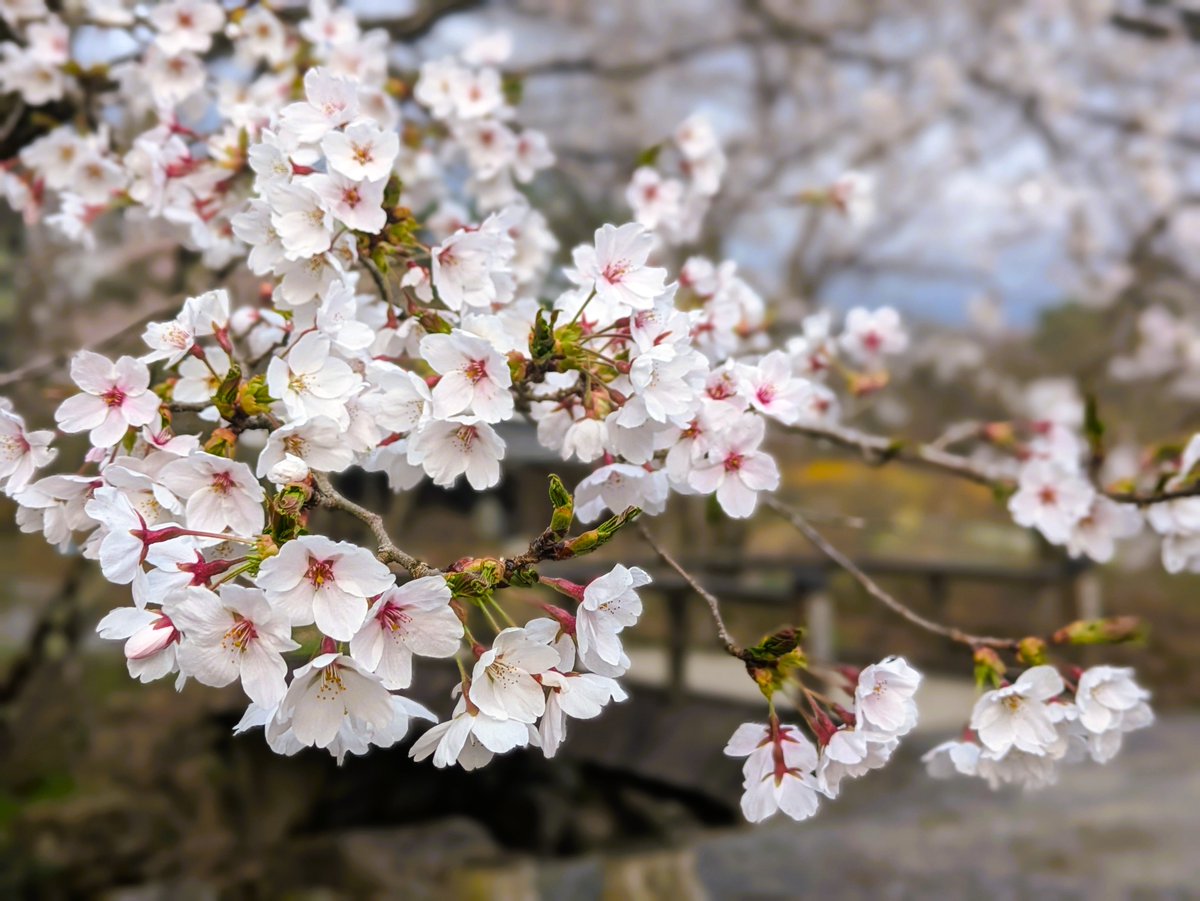 遠野ふるさと村 tweet media