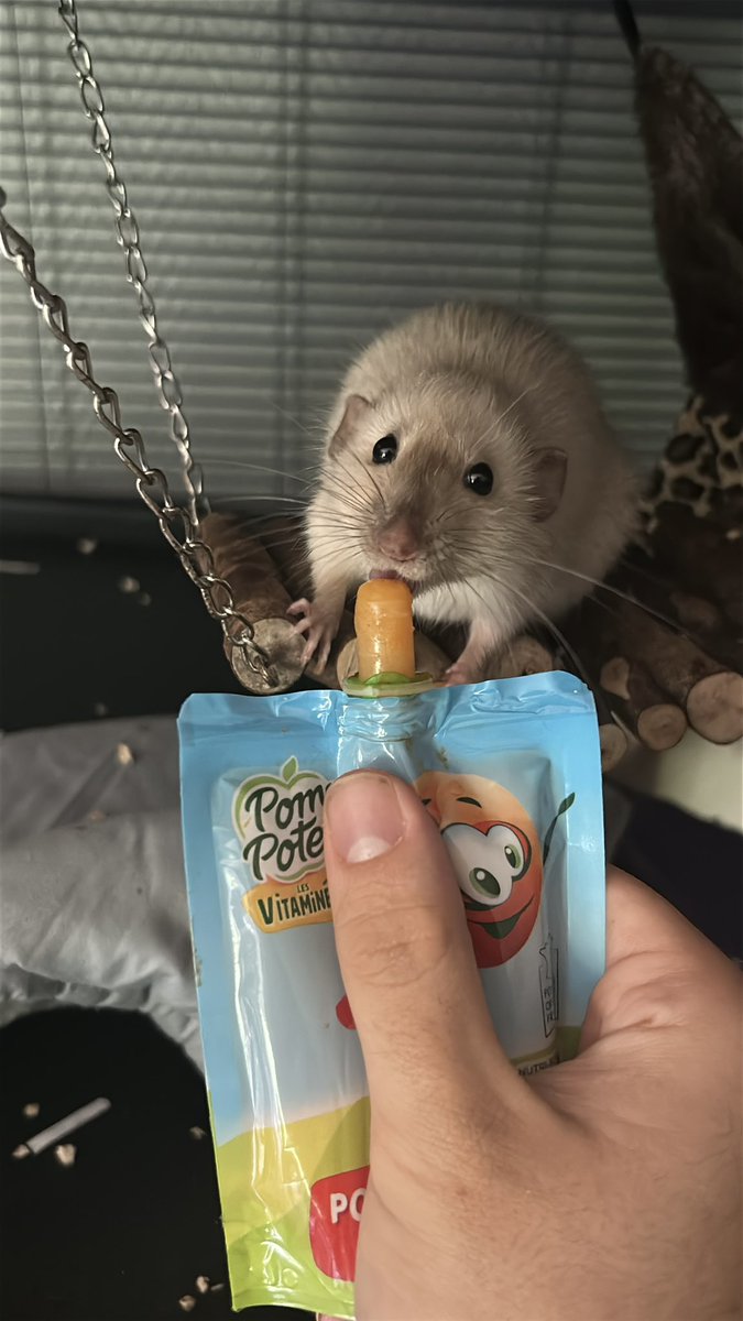 JeanCulMelangefion👔 tweet media