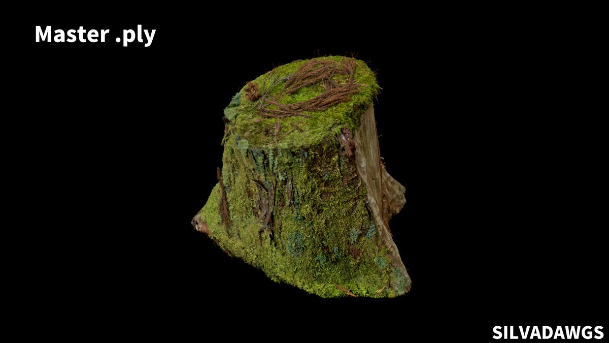 SILVADAWGS's tweet image. Now available on ArtStation Marketplace.
Processed through a highly optimized custom pipeline, it's clean and ready for any workflow.

Format : .ply Master Data (SH3)

👇 Link in thread

#3DGS #GaussianSplatting #VFX #TechArt #GameDev #UE5 #Unity