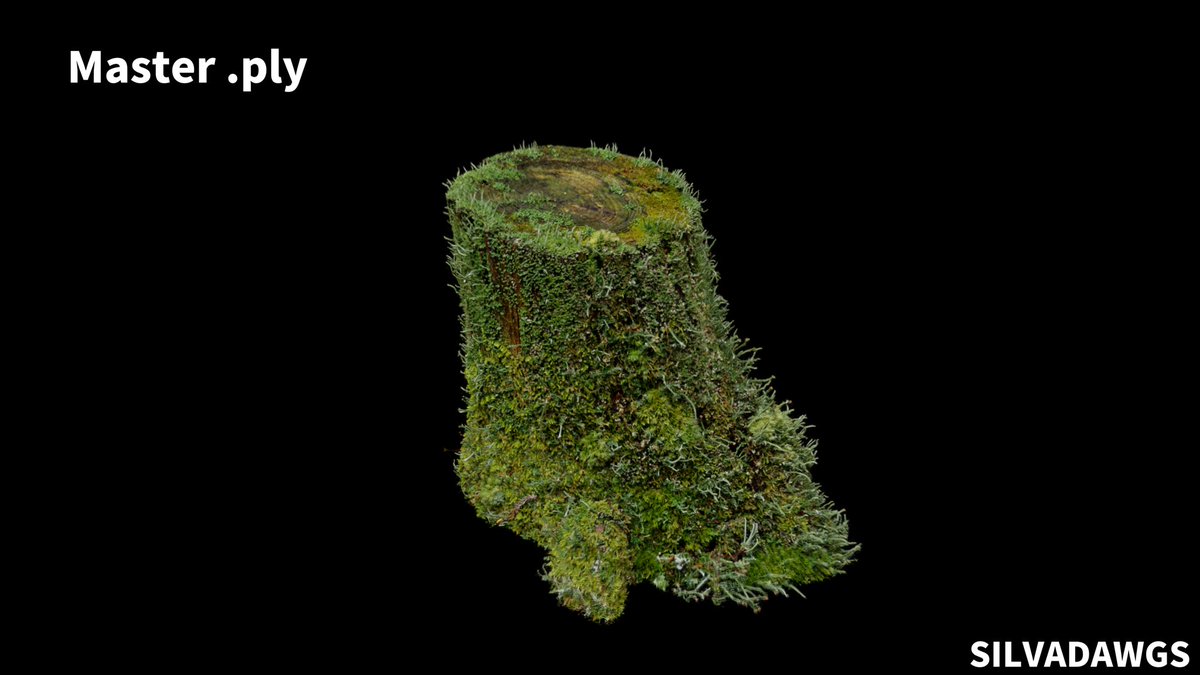 SILVADAWGS's tweet image. Now available on ArtStation Marketplace.
Processed through a highly optimized custom pipeline, it's clean and ready for any workflow.

Format : .ply Master Data (SH3)

👇 Link in thread

#3DGS #GaussianSplatting #VFX #TechArt #GameDev #UE5 #Unity