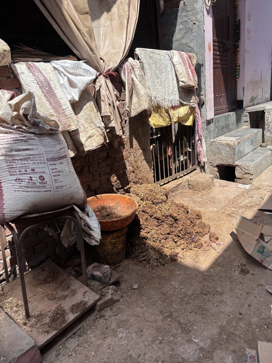 Arvind_mavii's tweet photo. Cow dung is accumulating in the streets and drains, causing serious filth. The drains are clogged and clogged, there's a foul smell, and mosquitoes have proliferated.
#public_nuisance
D- Gali-4 mukund vihar Karawal nagar
@MCD_Delhi @CPCB_OFFICIAL @SBM_MCD @CAQM_Official https://t.co/W2eCCNGBAn