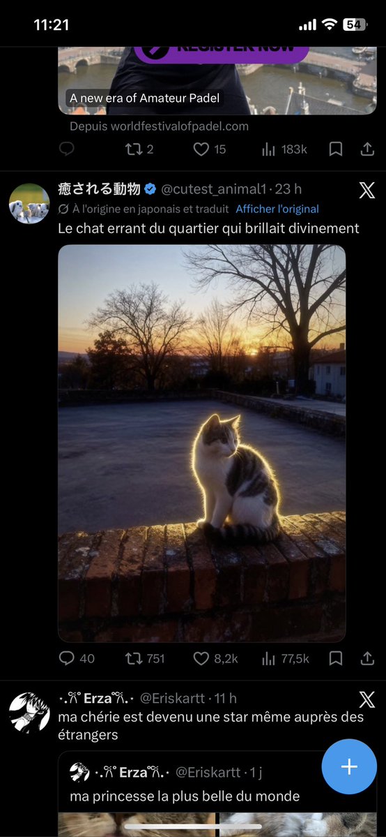 m8 jijon 😋 tweet media