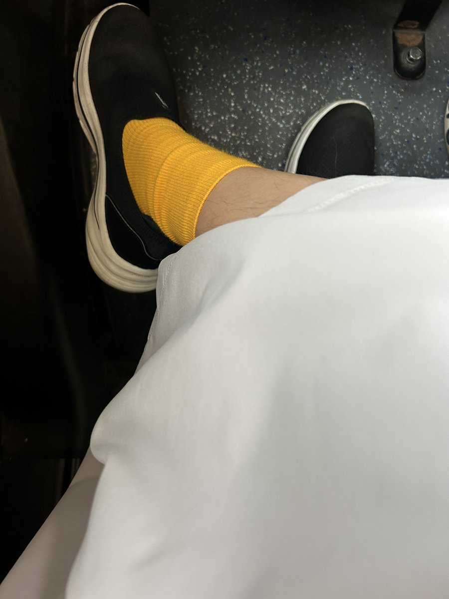 아시메르 tweet media