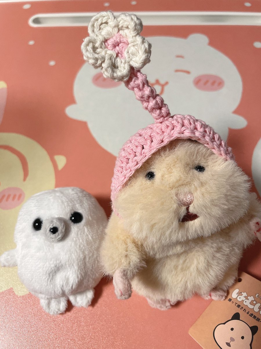 初音🥨🪬 tweet media