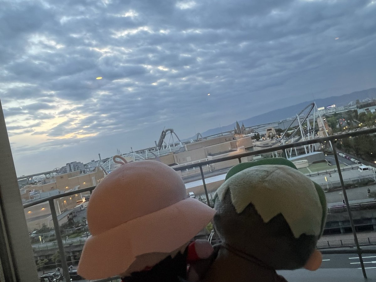 加賀穂 tweet media