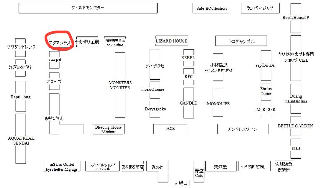 Aqua plus+ tweet media