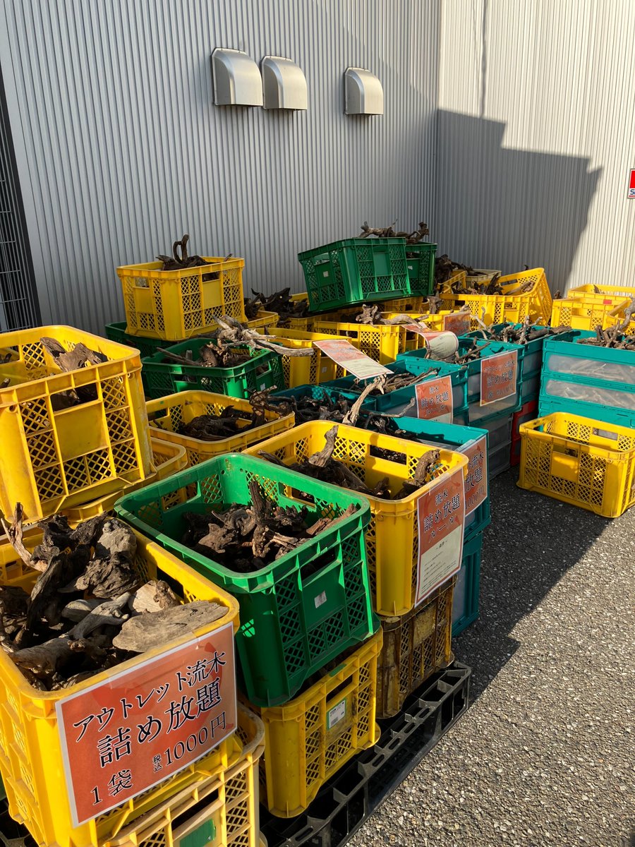 チャーム公式 tweet media