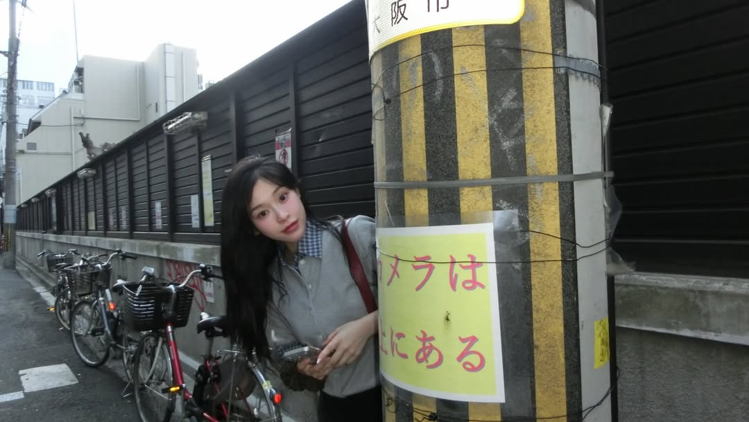 譯夢網 tweet media