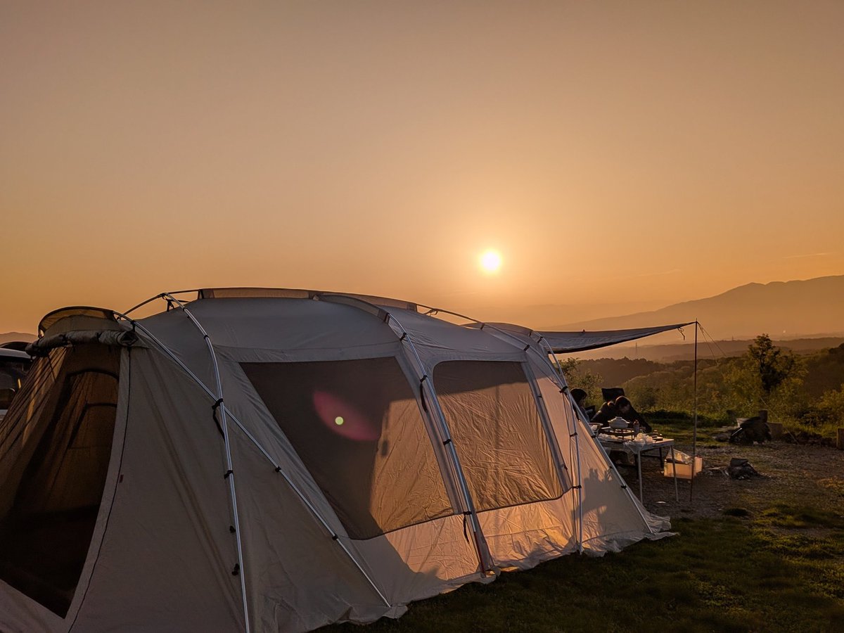 piko🫧🕊️ tweet media