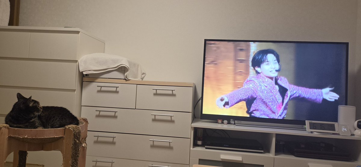 mina*⋆✈︎ tweet media