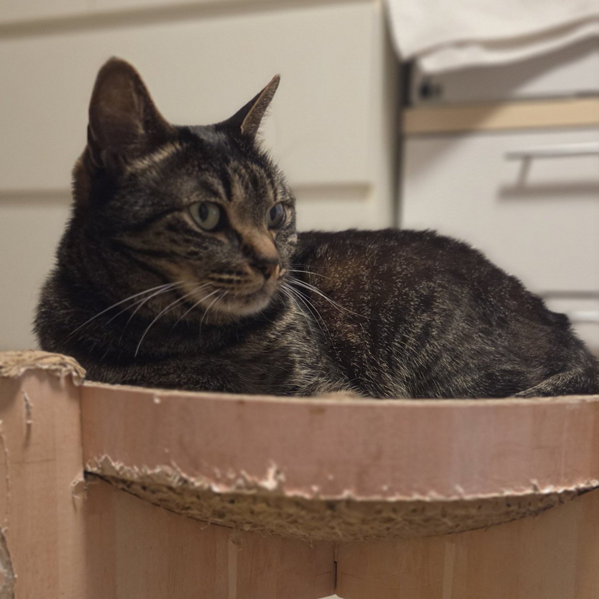 mina*⋆✈︎ tweet media