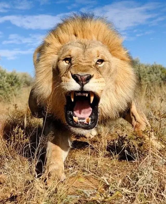 Deriko🇧🇪 tweet media