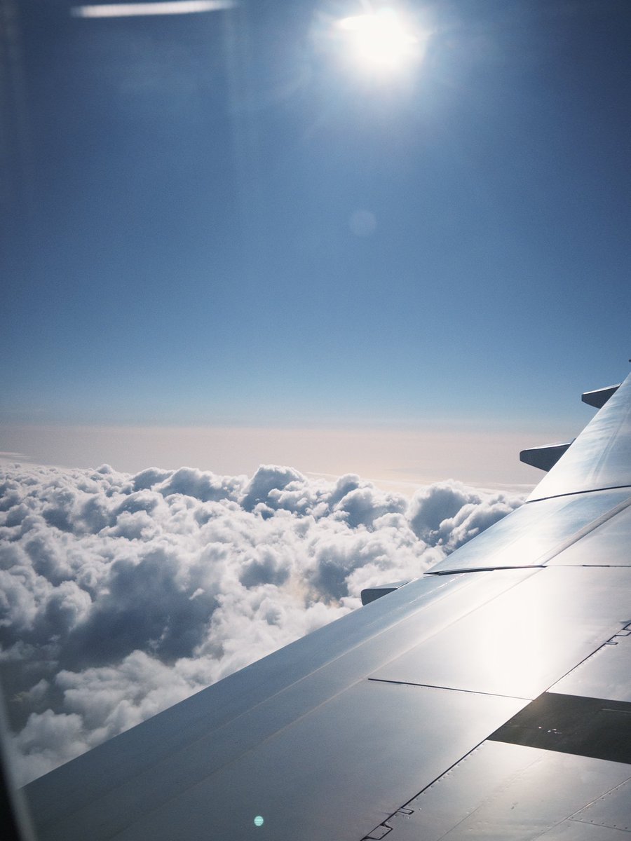 しるん tweet media