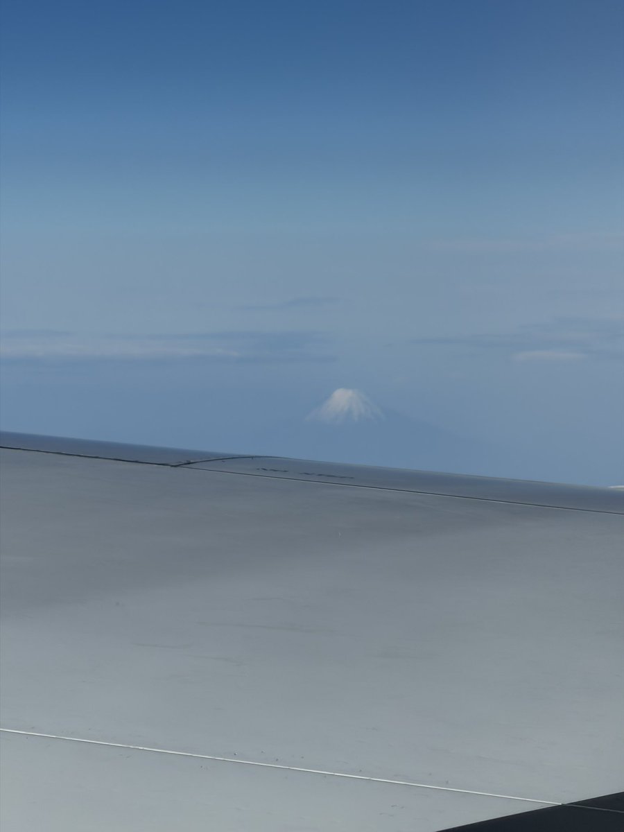 しるん tweet media