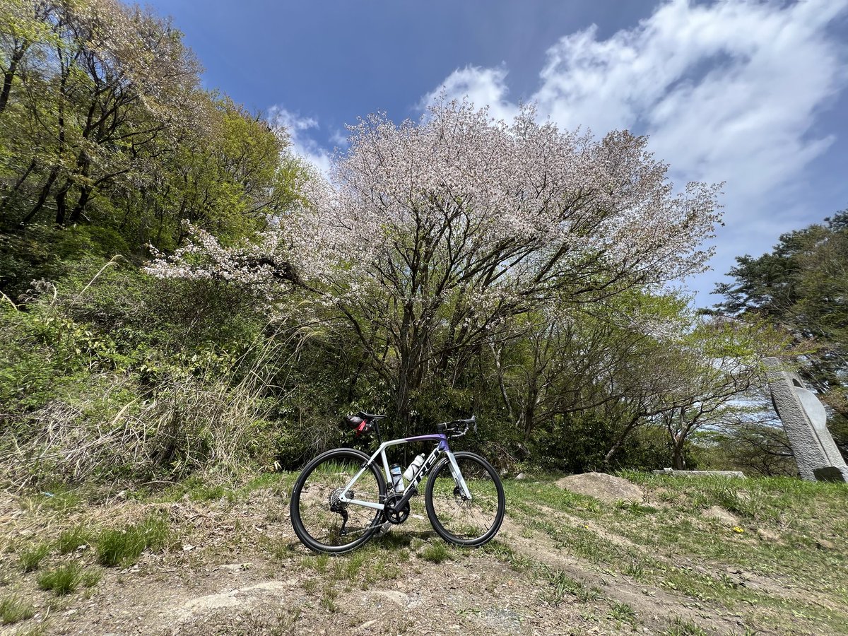kob_100's tweet photo. 桜を求めて山の中へ
ほとんど散ってしまったがまだ少し残ってた
数は少なかったが、お花見ライドができてよかった
帰りにふもとのパン屋さん
シナモンロール美味しく頂きました https://t.co/Udzge1nPxB