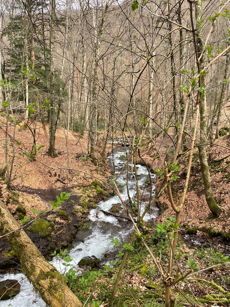 Doğanın kalbi Yedigöller’deyiz... 🌲🍃

​Bolu’nun ve ülkemizin göz bebeği Yedigöller Milli Parkı’mızda devam eden çalışmalarımızı ve yeni projelerimizi yerinde inceledik.

Bu nadide ekosistemi koruyarak geleceğe taşımak ve doğaseverlerimize en iyi hizmeti sunmak için sahadayız.