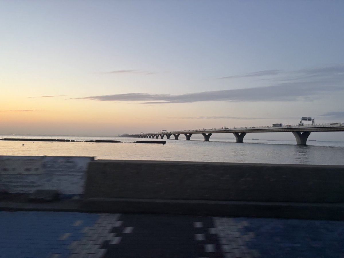 MCゆゆたろー🐻☕️イベントMC tweet media