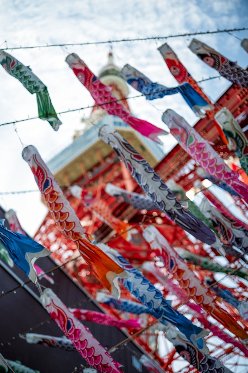 BarcaRosso's tweet photo. Caught in motion beneath Tokyo Tower—koinobori dancing against the sky.
Shot on a Leica M10-D with the APO-Summicron 50mm wide open at f/2.
Focus isn’t perfect, but sometimes speed and instinct matter more than precision.
#TokyoTower #Koinobori #LeicaM10D #APOSummicron #Rangefinder #LeicaPhotography #JapanPhotography #StreetPhotography #Bokeh #ShootWideOpen #SpringInJapan #VisualStorytelling #CaptureTheMoment