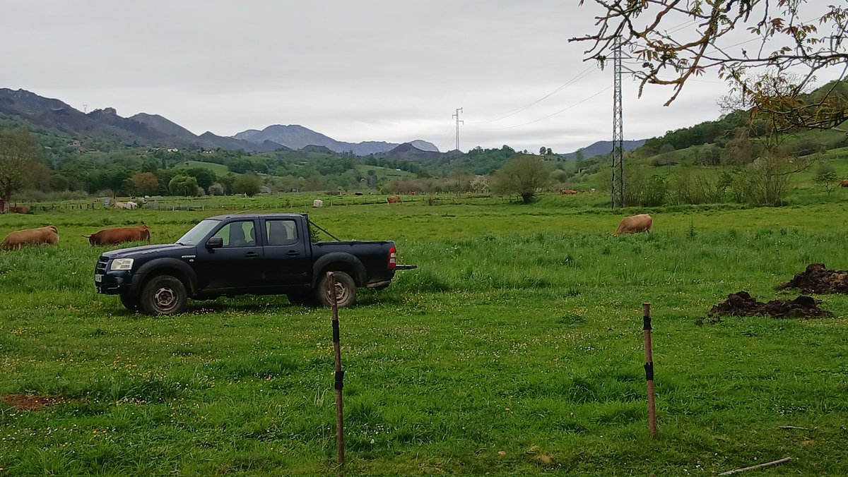 Durante un mes recorriendo zonas rurales de España conté solo 11 camionetas con caja.
Pero vos en Argentina, pelotudo caro, te la compras para mostrarte con la Yésica en Puerto Madero.