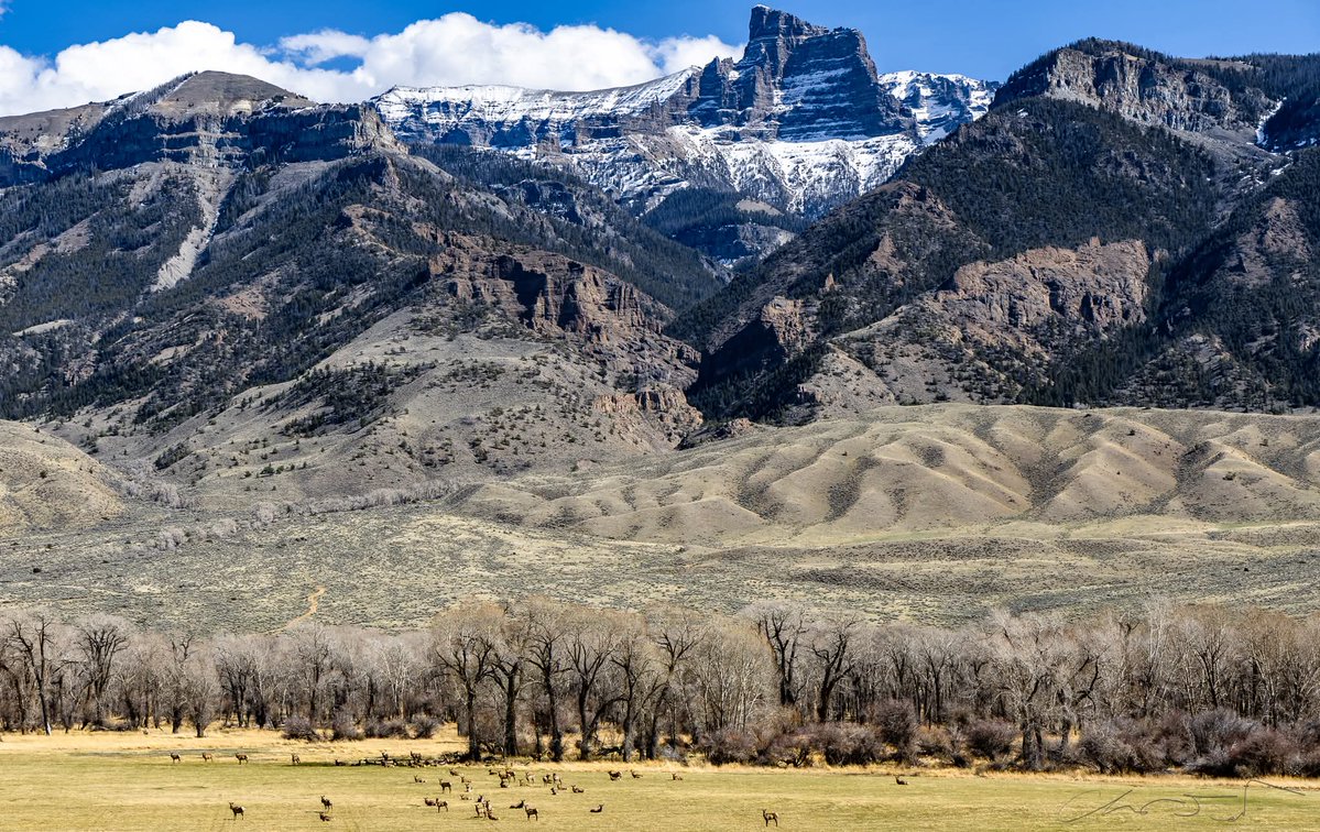 Prarie Patriot tweet media