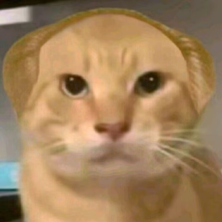 川和.豆沙維尼🇹🇼 橘貓愛好份子 tweet media