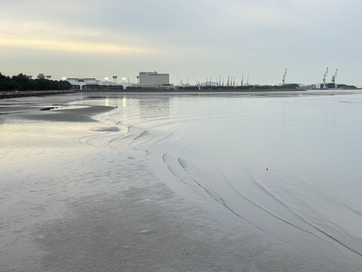 けん。 tweet media