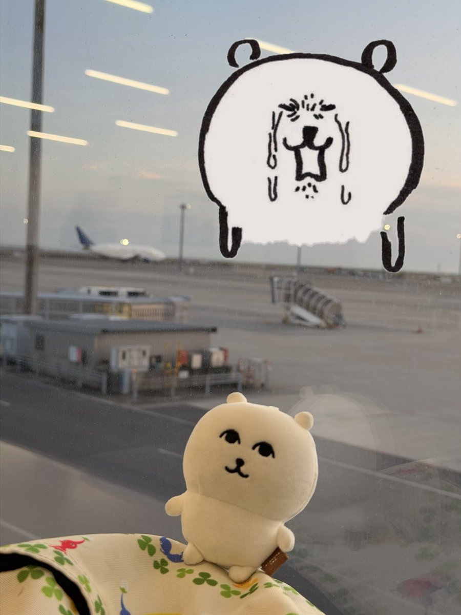 ハン@くま旅 tweet media