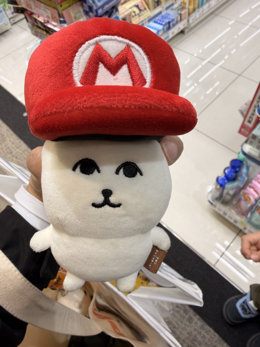 ハン@くま旅 tweet media