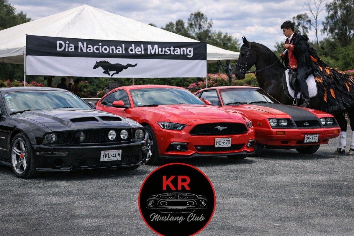 kr_mustang's tweet photo. #NationalMustangDay https://t.co/wZ1N0f9M2a