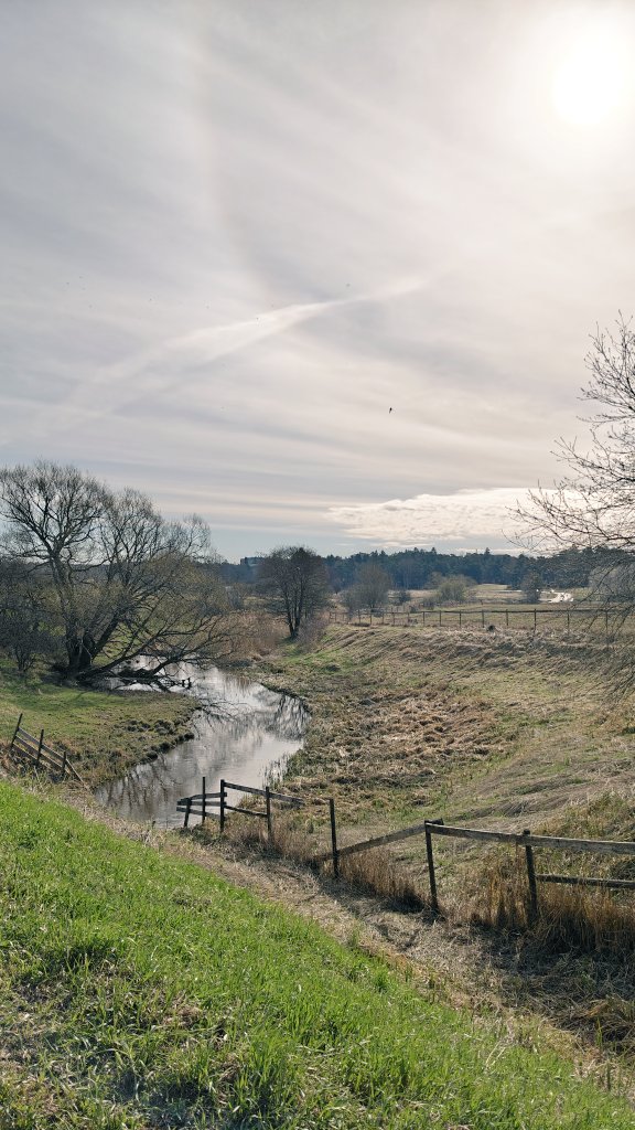 Chelz 🌷🦩 tweet media