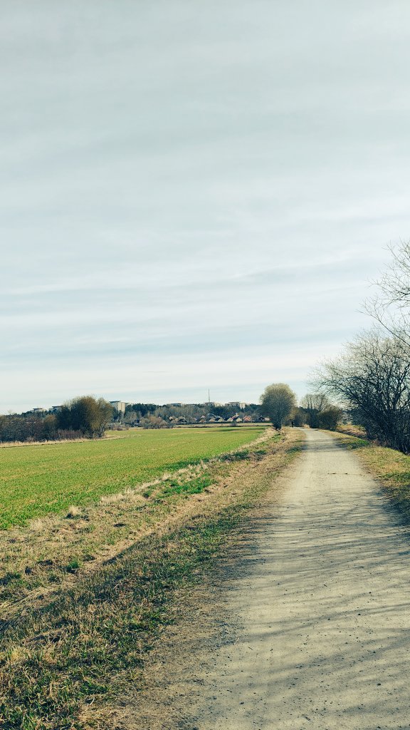 Chelz 🌷🦩 tweet media