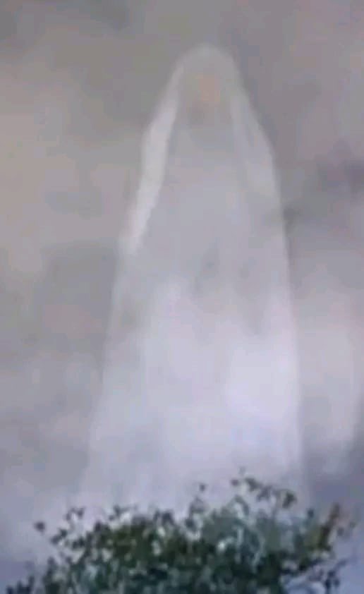 Dee Macé tweet media