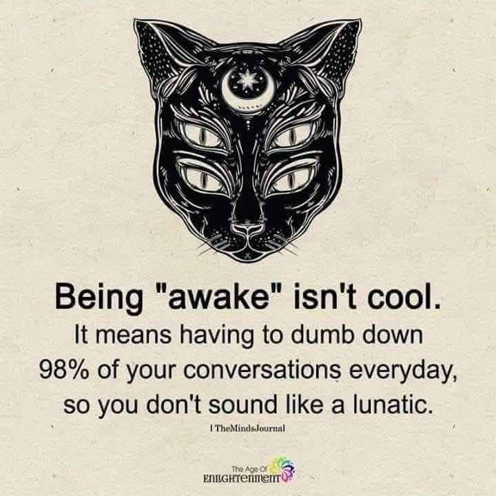 🧬Maxpein🧬 tweet media