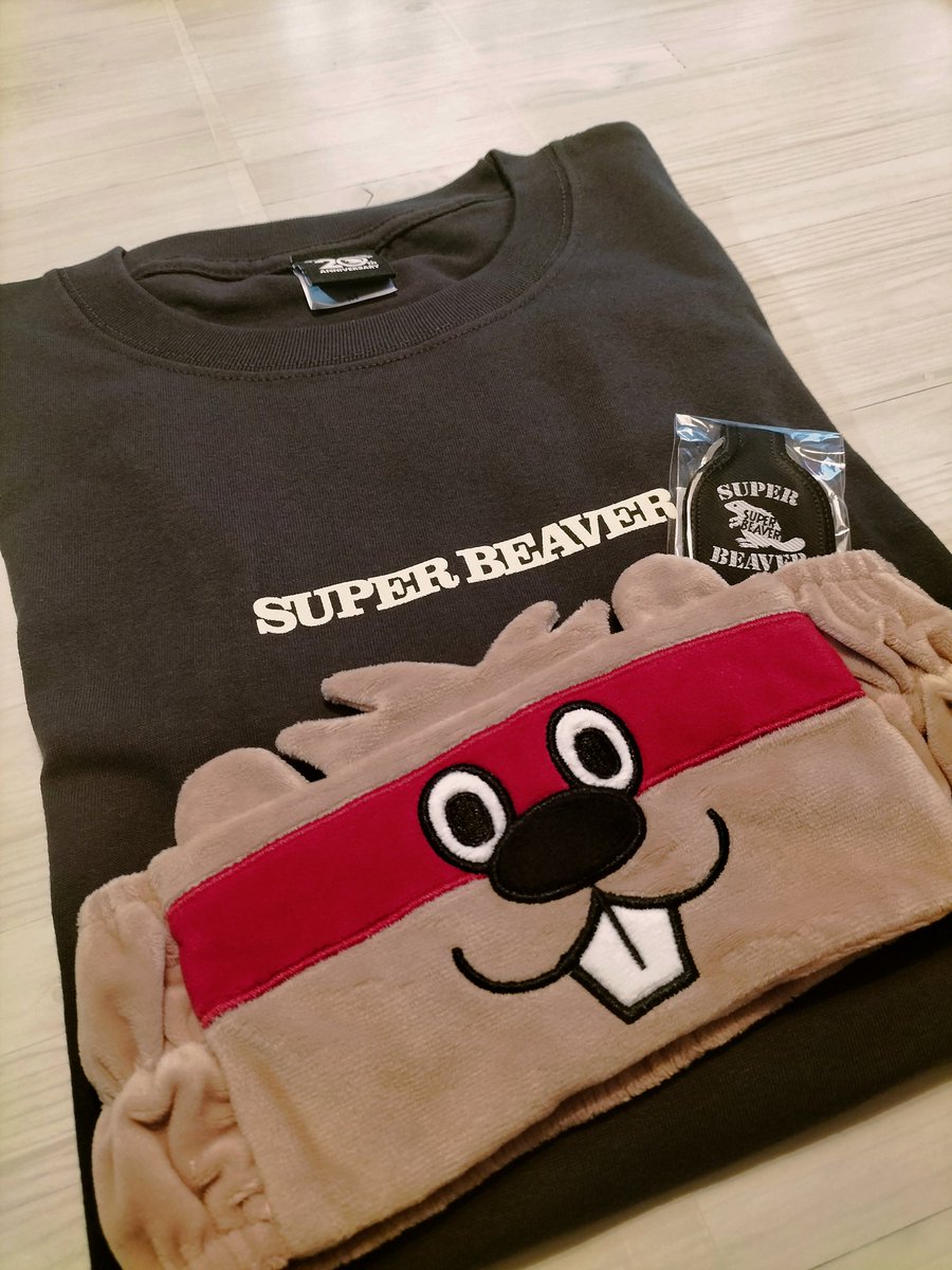 くろごま(蛾と猫から)🥁🦫 2月7日ライブ終演後から叫んでます。 tweet media