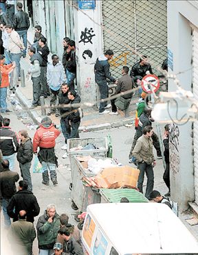 Pyrrhocorax tweet media