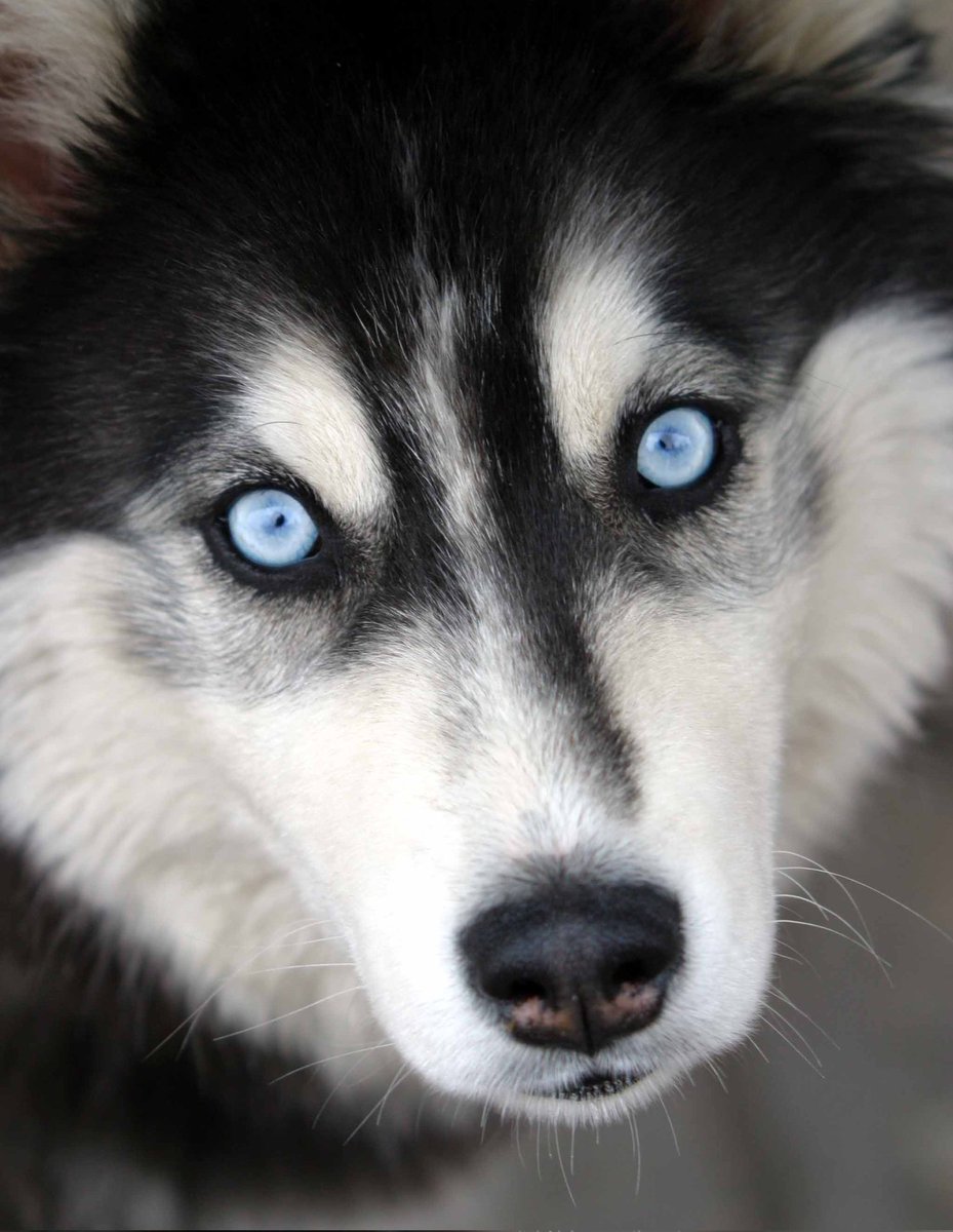 Старая и злая |-/ tweet media