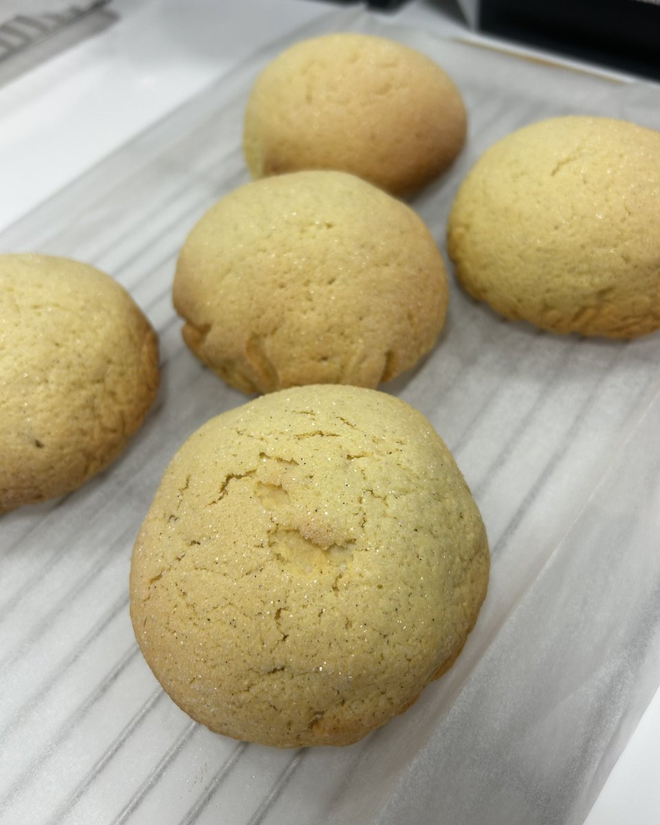 そい🥚🦖7.5予定 tweet media