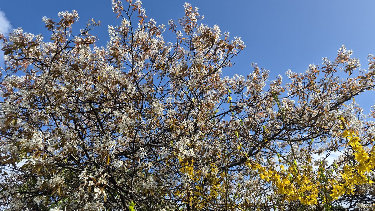 Mary Baillie tweet media